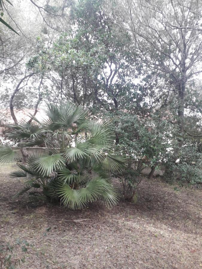 B&B Nuraghes Olbia Luaran gambar