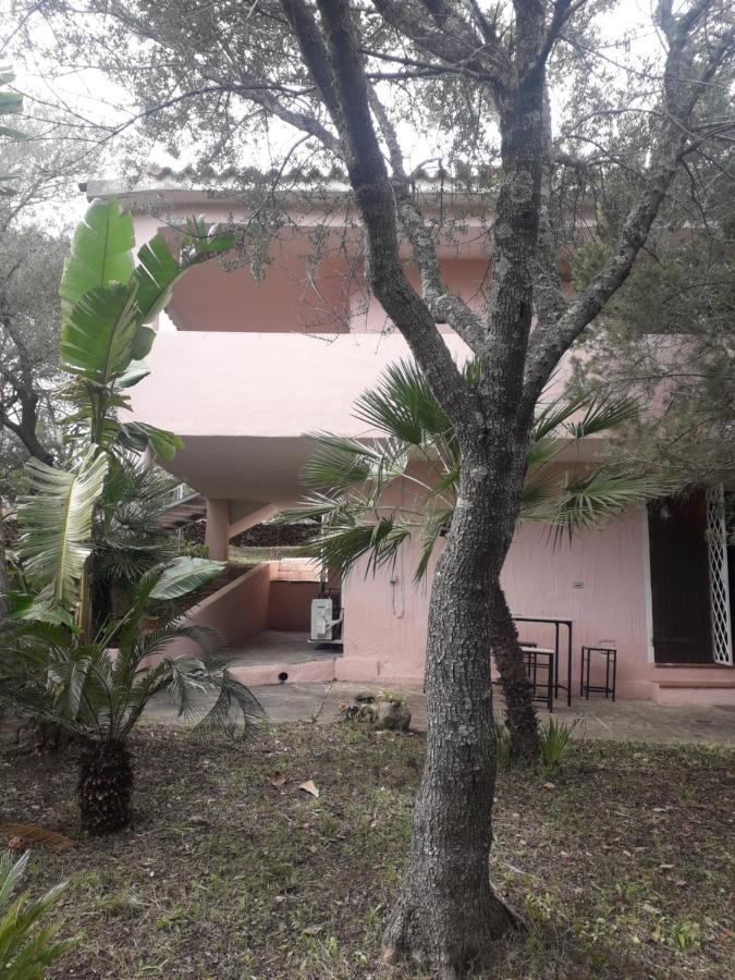 B&B Nuraghes Olbia Luaran gambar
