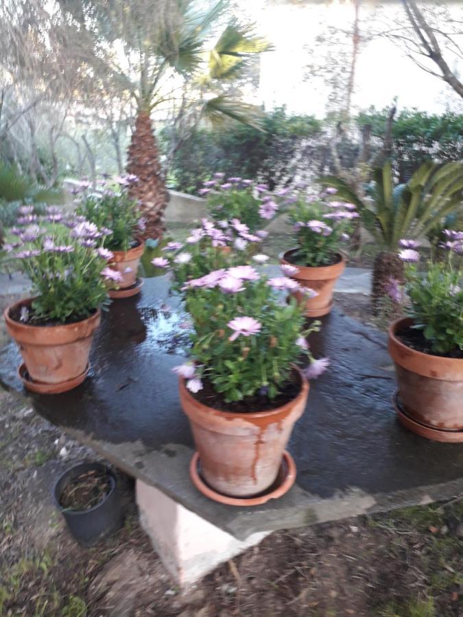 B&B Nuraghes Olbia Luaran gambar