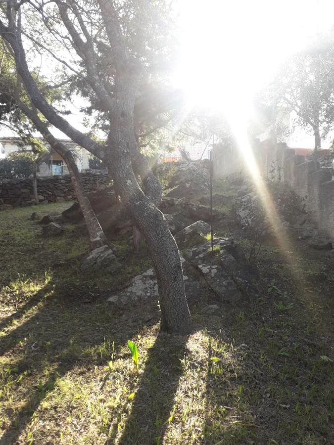 B&B Nuraghes Olbia Luaran gambar