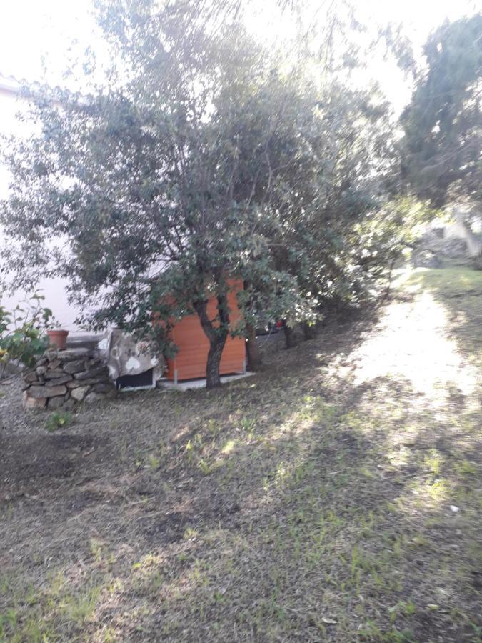 B&B Nuraghes Olbia Luaran gambar